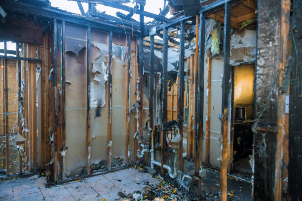 Professional Smoke Odor Removal technician working in Green Isle, MN