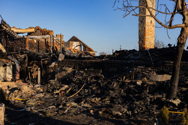 Reliable Smoke Odor Removal contractor in Green Isle, MN by Fire Damage Flint