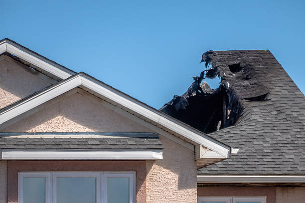 Top rated local Smoke Odor Removal specialists in Green Isle, MN